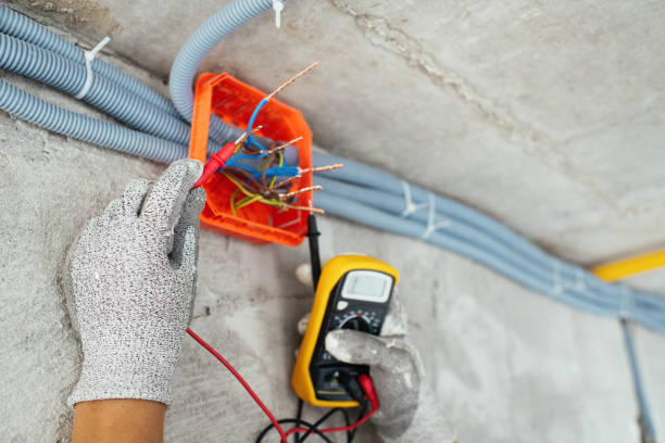 Best Residential Electrician Services  in Odem, TX